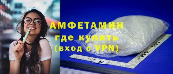 гидра Липки