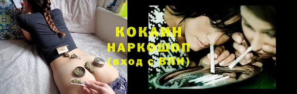 гидра Липки