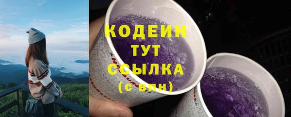 гидра Липки