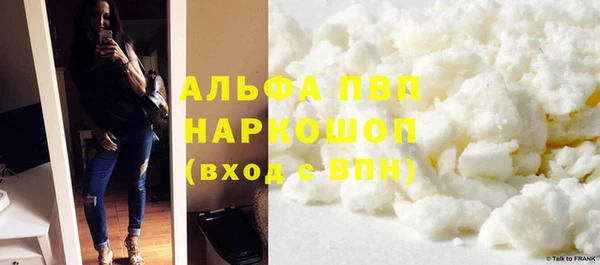 гидра Липки