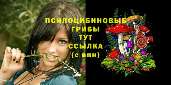 гашишное масло Магас