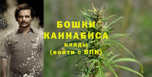 индика Лиски