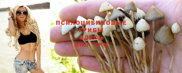 стаф Магадан
