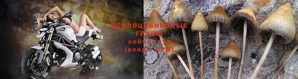 индика Лиски