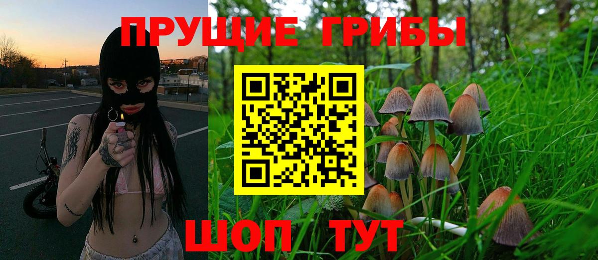 Галлюциногенные грибы Magic Shrooms Чайковский