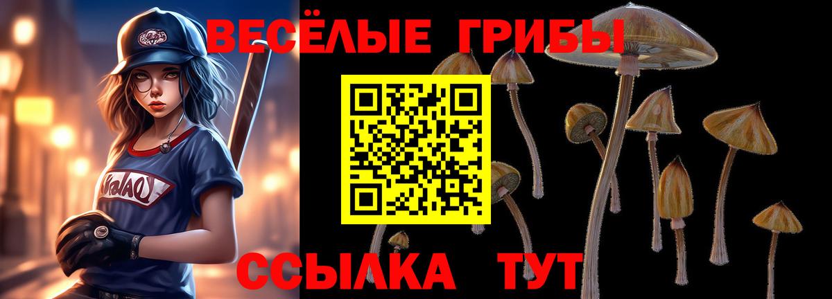 Чайковский  Галлюциногенные грибы GOLDEN TEACHER  Вход с VPN 
